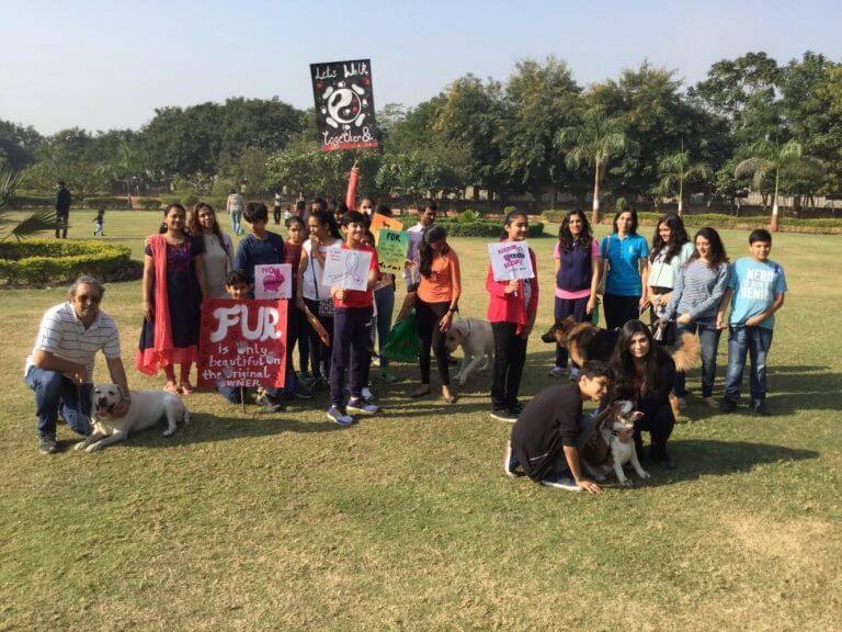 IMG_0473-768x576